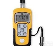 TT100  <em>时代</em>TT100<em>升级</em>版超声测厚仪