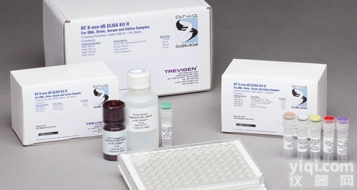 <em>SH2携带蛋白（SHC）ELISA检测试剂盒</em>