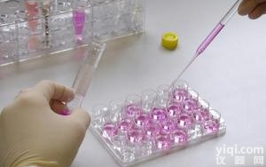 <em>绵羊</em>白介素1,IL-1ELISA<em>试剂盒</em>厂家,<em>绵羊</em>白介素1<em>试剂盒</em>价格