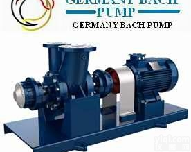 <em>进口</em>双吸<em>单级</em><em>流程泵</em>_德国BACH_上海总代理