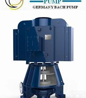 进口立式<em>单级</em>单吸<em>蜗壳</em>泵_德国BACH_上海总代理