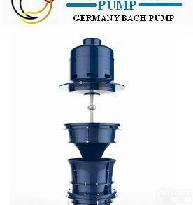 进口<em>单级</em>立式<em>轴流泵</em>_德国BACH_上海总代理