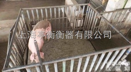 <em>养殖业</em>专用<em>电子</em>秤/带围栏的2吨<em>电子</em><em>地磅</em>