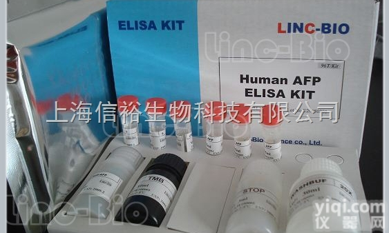 拓扑<em>异构酶</em>相关功能<em>蛋白</em>4-2<em>抗体</em>