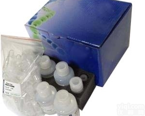 北京无<em>内毒素</em>高纯度<em>质粒</em>大量快速提取试剂盒（离心<em>柱型</em>）价格