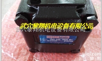 T6D <em>035</em> 1R00 B1  T6D <em>035</em> 1R00 B1<em>丹尼</em>逊<em>叶片</em>泵