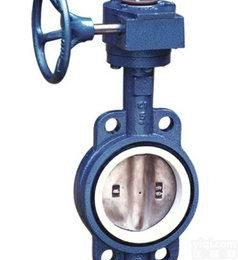 衬氟<em>对夹式</em><em>蝶阀</em>-意蝶（上海）<em>泵阀</em>-德国进口阀门代理