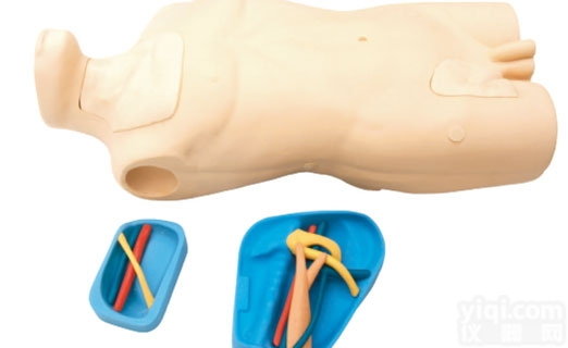 KAJ/ZXA  ZX静脉注射穿刺<em>躯干</em>训练<em>模型</em>