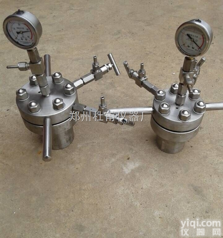 CF-100ML  <em>小型简易加热搅拌水热反应釜</em>