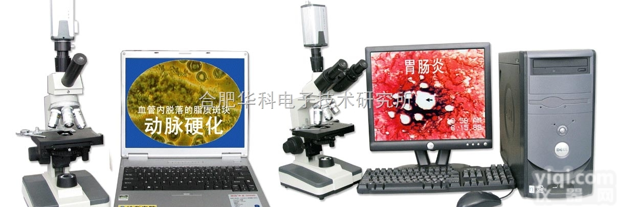 <em>HK</em>-<em>MDI</em>  <em>HK</em>-<em>MDI</em>一滴血<em>检测仪</em>