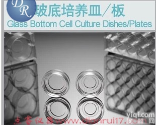 NEST 玻底<em>培养皿</em> 801001 φ20mm TC 共<em>聚焦</em><em>培养皿</em>