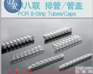 <em>NEST</em> <em>PCR8</em>联<em>排管</em> 403101 0.15ml 无盖 矮管 透明...