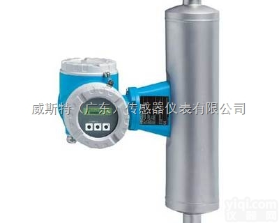 FML621密度计算仪<em>总经销</em>,E+H<em>总经销</em>,e+h经销