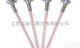<em>WRP2-131  铂铑热电偶</em>
