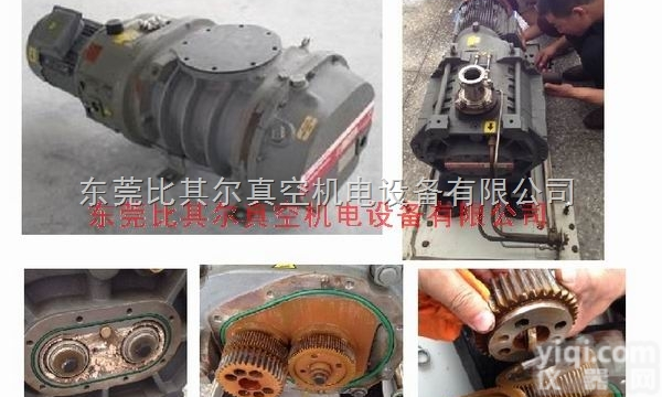 英国爱德华GV160<em>真空泵</em>维修（<em>螺杆</em><em>真空泵</em>）
