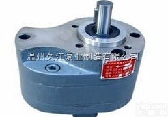 <em>CB-B系列齿轮油泵</em>