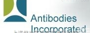 <em>Antibodies</em><em>特约</em><em>总代理</em>
