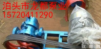 厂销LC-10/0.6<em>罗茨</em>泵/<em>高粘度泵</em>/糖蜜泵/稠油泵保温泵/皮带传动