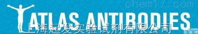 <em>Atlas</em> <em>Antibodies</em>特约<em>总代理</em>
