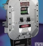 MODEL  供应<em>便携</em>式MODEL 2020热导分析仪