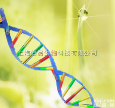 微量细胞<em>核酸</em>/蛋白共<em>提取</em>试剂盒