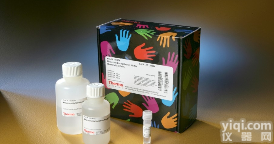 小鼠糖化<em>血清蛋白</em><em>酶联免疫</em><em>试剂盒</em>