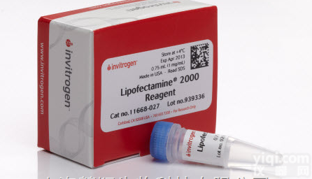 <em>Invitrogen</em> 原装11668-<em>027</em> Lipo2000 脂质体...