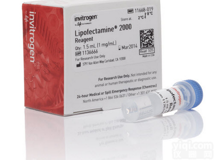 <em>Invitrogen</em> <em>11668</em>-019 脂质体2000（lipo20...