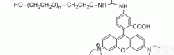 PS2-ORB-2k  <em>罗丹</em>明B-聚乙二醇-<em>羟基</em> RB-<em>PEG</em>-OH  MW：2000