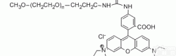 m<em>PEG</em>-RB  甲氧基聚乙二醇罗丹明m<em>PEG</em>-RBZ全修饰性<em>PEG</em><em>供应</em>商-上海芃硕生物