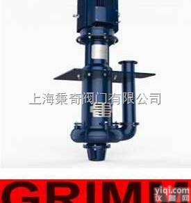 液下<em>渣浆泵</em> <em>进口</em>液下<em>渣浆泵</em> 英国<em>进口</em>液下<em>渣浆泵</em>Under the li...