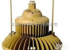 BAD85  BAD85-JB-20LED免维护<em>防爆</em>灯（<em>材质</em>）价格