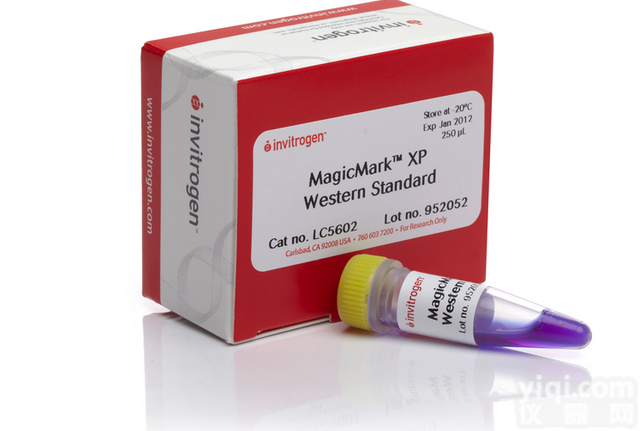 Invitrogen LC5602 <em>MAGICMARK</em> XP WEST...