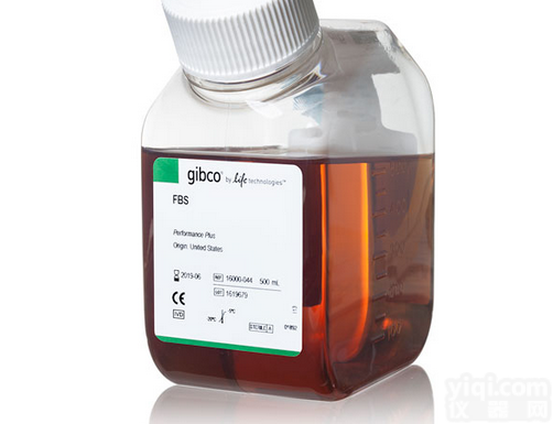 10099-141胎牛<em>血清</em>，Gibco<em>澳洲</em>源，<em>优等</em>FBS