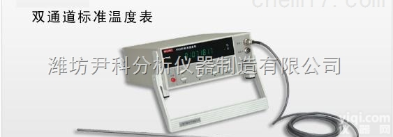 YK-HY250  双<em>通道</em><em>标准</em><em>温度表</em>
