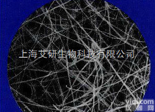 美国PALL Pallflex过<em>滤膜</em><em>石英</em><em>滤膜</em>