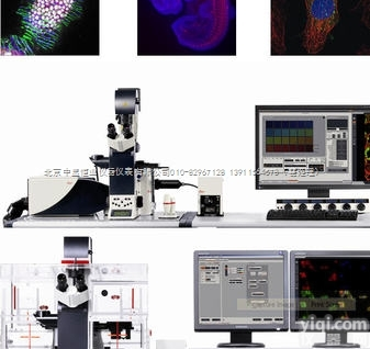 Leica HCS A高<em>内涵</em>自动<em>筛选</em>