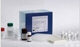 人<em>流感</em>H1N1<em>病毒</em>ELISA<em>试剂盒</em>