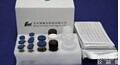 人β<em>淀粉</em>样<em>蛋白</em>42（ Aβ-42）ELISA<em>试剂盒</em>