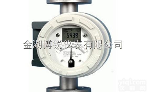 BR-100  防爆型金属转子<em>流量计</em>微小流量酒精<em>氯气</em>等<em>流量计</em>厂家-g