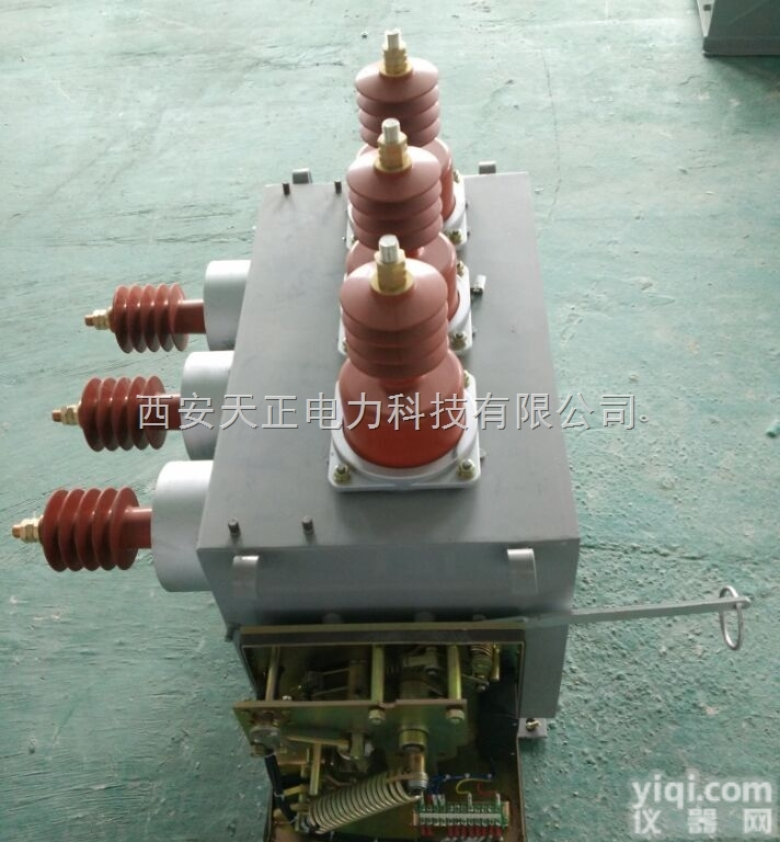 ZW10-12G/<em>630</em>-25（<em>20</em>）  ZW10-12G/<em>630</em>-25（<em>20</em>）