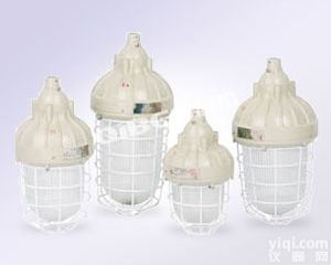 <em>隔爆型</em><em>防爆灯</em><em>BAD51</em>-100w