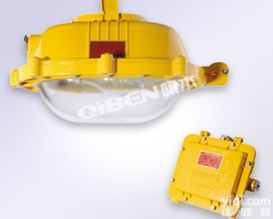 BFE8120<em>内场</em><em>防爆</em><em>应急灯</em>,70w分体式<em>防爆</em><em>应急灯</em>