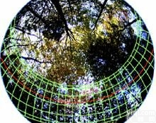 <em>HemiView数字植物冠层分析系统</em>