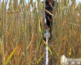 <em>SunScan</em><em>专业版</em>植物冠层分析仪