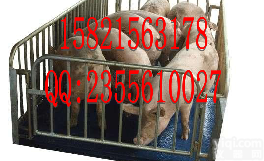 ND3011-S  <em>动物</em>秤↓☆<em>动物</em>称↓☆称<em>动物</em>的<em>电子秤</em>↓