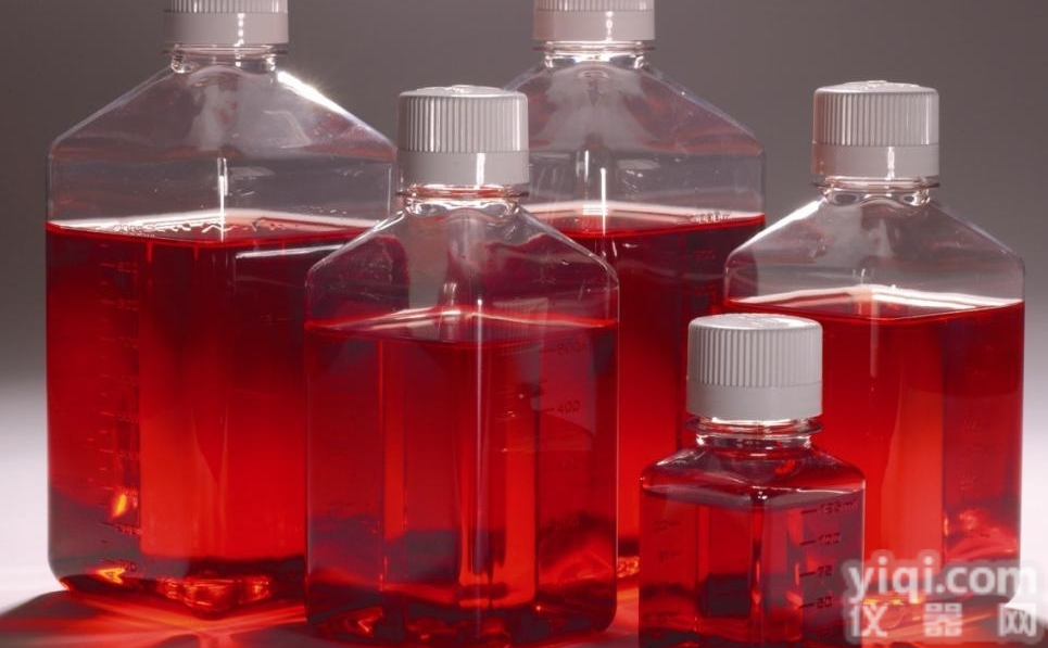 牛血清<em>白蛋白</em>（<em>澳洲</em>）