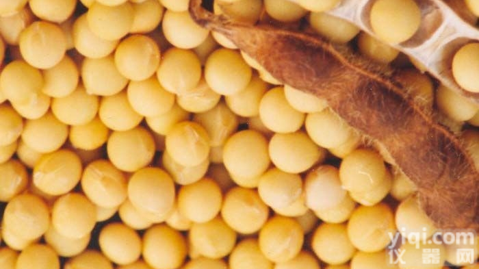 552-66-9  <em>大豆</em>苷<em>98</em>% 河南 植物提取物厂家 对照品 价格