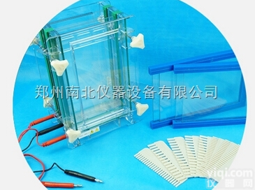 DYCZ-28D  单板/双板夹芯式垂直<em>电泳</em>仪 <em>直销</em>、