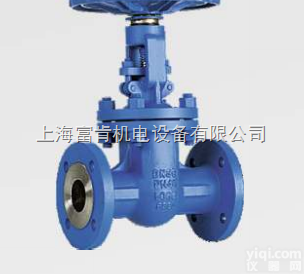 <em>波兰</em>ANDREX<em>安杰</em>诺V-YR169法兰<em>闸阀</em>江苏代理